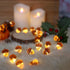 30 10 Thanksgiving Acorn Lights Fall Garland Decorative Fairy String Light Cute Novelty Lights LEDs ft USB or Battery