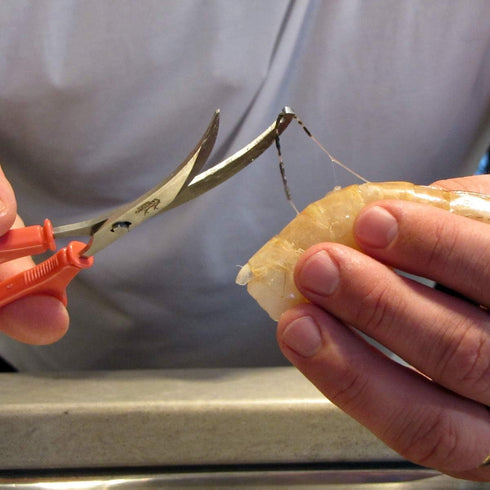 Treasure Gurus Stainless Steel Seafood Shrimp Deveiner Scissors - Food Kitchen Shears, Shellfish Cutting Tool