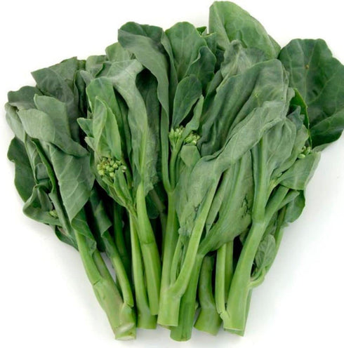 dearbridal Chinese Broccoli-1000 Seeds, Kai Lan, Gai Lan, Brassica Alboglabra, Open Pollinated