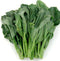 dearbridal Chinese Broccoli-1000 Seeds, Kai Lan, Gai Lan, Brassica Alboglabra, Open Pollinated