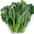 dearbridal Chinese Broccoli-1000 Seeds, Kai Lan, Gai Lan, Brassica Alboglabra, Open Pollinated
