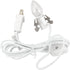 Celebrations Platinum LED Light Display, Assorted, 4 ft