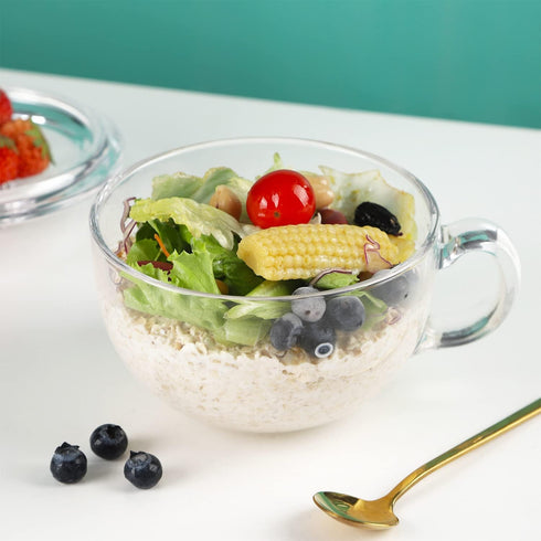 WHJY Small Glass Bowl, Microwave Safe Soup Bowl with Lid and Handle, Clear Oatmeal Bowl for Soup, 500ml/16oz