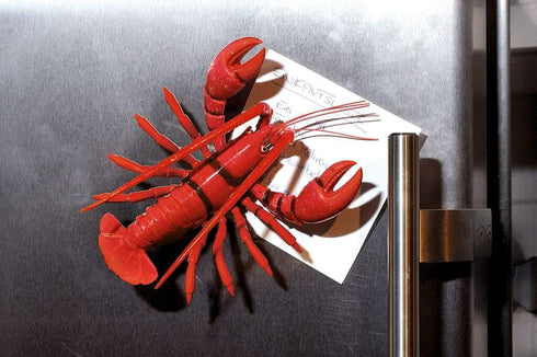 moses 12.5 9 3.5 cm Wobble Magnet Lobster Decorative Magnet for The Kitchen, Metal, Red, x x