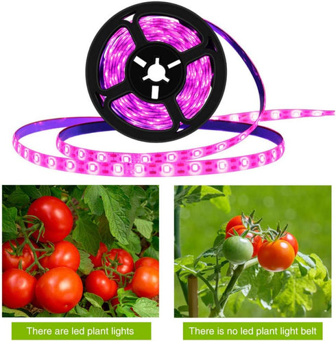 2835 IP66 Plant Grow Light Strip SMD Waterproof Full Spectrum LED Light for Indoor Plants, Greenhouse, Aquarium