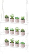 Sumerflos 3-Tier Acrylic Window Boxes Plant Shelves for Windows, Acrylic Hanging Window