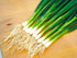 300 Bunching Green Onion Seeds Scallions About Non-GMO Seeds for Planting