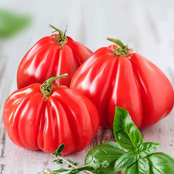 Ruffled Tomato Seeds - 25+ Seeds to Grow - Exotic Heirloom Vegetable