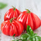 Ruffled Tomato Seeds - 25+ Seeds to Grow - Exotic Heirloom Vegetable