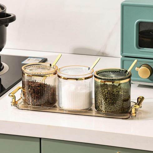 6 Pack,Seasoning Set Acrylic Condiment Spice Jars,Condiment Spice Box With Lids and Spoons and Tray,Clear Plastic