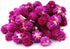 TooGet 9 Bags Set of Fragrant Dried Flowers and Herbs for Soap, Bath Bombs Making, and Crafts Decorations