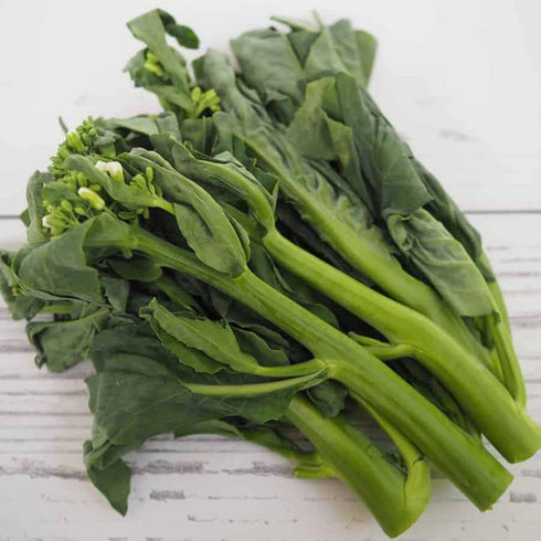 dearbridal Broccoli-1000 Alboglabra, Chinese Seeds, Kai Lan, Gai Lan, Brassica Open Pollinated