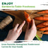 2500+ TKE Farms & Gardens - Tendersweet Carrot Seeds, Non-GMO Heirloom Seeds, Grow Sweet, Crisp Carrots, Easy to Grow