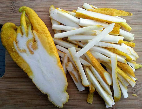 5" Buddha's Hand Citrus Tree - Indoors/Out - No Ship to Tx,Fl,Az,Ca,La,Hi - Pot