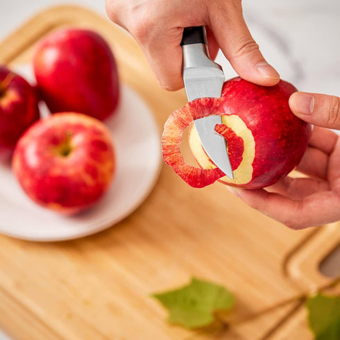 Bird Beak Paring Knife - 2.75 Inch Peeling Knife, German Stainless Steel Small Curved Fruit Knife with Ergonomic Handle
