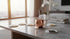 Set 6 Coasters of Round Ceramic Stone Absorbent Cute Cat Drinks Coasters for Cups and Mugs, Coffee Table, Office Desk