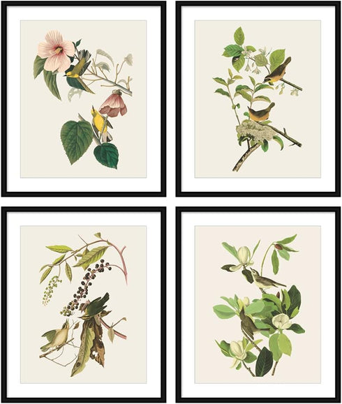 Bestbuddy Set of 4 Unframed Robin Birds Botanical Prints - Antique Tropical Birds Flowers Illustration Wall Art