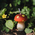 Birthday Mushroom Candles for Party Supplies and Wedding Favor
