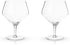 Viski Raye Angled Stemmed Gin and Tonic Glasses, Set of 2, Premium Crystal Clear Cocktail Gin Glasses for Gin Lovers