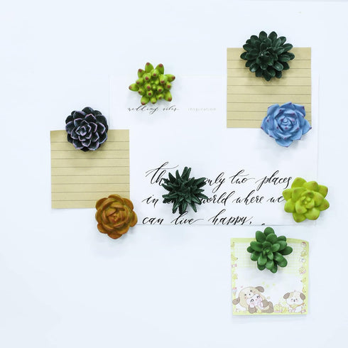 Plant Pattern 3D Resin Succulent Fridge Magnets, Set of 8 White Board Magnets for Home Office Display