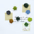 Plant Pattern 3D Resin Succulent Fridge Magnets, Set of 8 White Board Magnets for Home Office Display