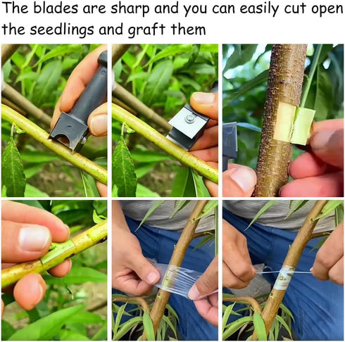 ZORZA 2Pcs Double Knife Branch Grafting Knife Garden Professional Grafting Cutting Tool Sharp Grafting and Pruning Tool Practical Bark Removal Ideal Garden Accessory for Gardeners & Fruit Tree Care by ZORZA