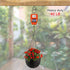 50 PCS Q-Hanger Screw Hooks with Safety Buckle Design - Christmas Lights Hanger Hooks for Outdoor Wire Fairy Lights