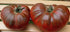 SEEDS4PLANTING Seeds Tomato Black Prince Giant Heirloom Vegetable Non GMO