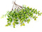 HUIANER Artificial Berries, 6 Pcs Simulation Flowers Lifelike Greenberry with Stems Fake
