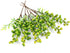 HUIANER Artificial Berries, 6 Pcs Simulation Flowers Lifelike Greenberry with Stems Fake