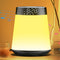 AGQQ Sunrise Alarm Clock with Wake Up Light & White Noise Machine -