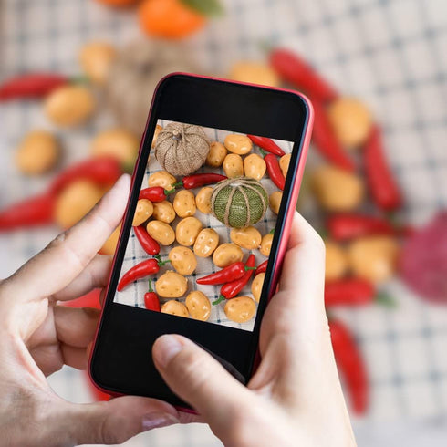 40PCS 3.5cm HUIANER Mini Artificial Potatoes, Fake Potatoes Simulation Mini Vegetable for Home Kitchen Photography