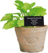 Esschert Design Artificial Herb Plant, Basil, Large