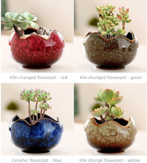 YYW Succulent Pots Ceramic Planters for Indoor Plants in Egg Broken Shell Design Flower Pots with Drainage Hole Stylish Plant Pots Home Office Outdoor Decor Plant Lovers Gifts 4 Pcs by YYW