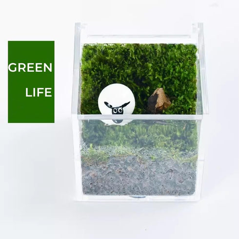 KissYou Clear Acrylic Box with Lid, Cute Clip Organizer Dispenser for Desk, Aesthetic Hair Accessories Organizer