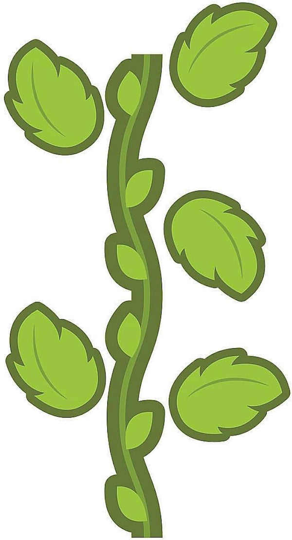 Fun Express Jungle Vine Floor Clings, 44 Pieces, VBS Vacation Bible School Supplies for Kids