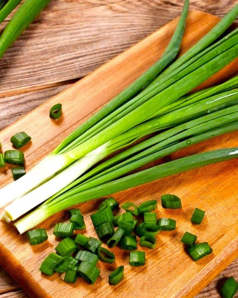 300 Bunching Green Onion Seeds Scallions About Non-GMO Seeds for Planting