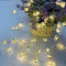 GUOCHENG 16FT 50LEDs Music Note String Lights, Music Stave Fairy Light 3AA