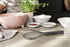 Zyliss Silicone Balloon Whisk - Sustainable Wheatstraw/Silicone, Nonstick Heat-Resistant Cooking Tool for Mixing