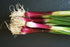 Liliana's Garden Apache Red Bunching Onion Seeds aka Red Scallion or Salad Onion | Heirloom Seeds by |