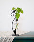 Plant Terrarium, Hydroponic Vases for Home Decoration, Modern Creative Bird Terrarium Stand,