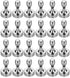 BTLIN 24 Pack Small Fridge Magnets, Strong Mini Metal Magnetic Push Pins for Kitchen Refrigerator Magnetic Board Office