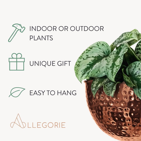 12x7 Allegorie Metal Wall Planter | Indoor or Outdoor Hanging Plant Pot | Farmhouse Decor & Boho Kitchen Decoration