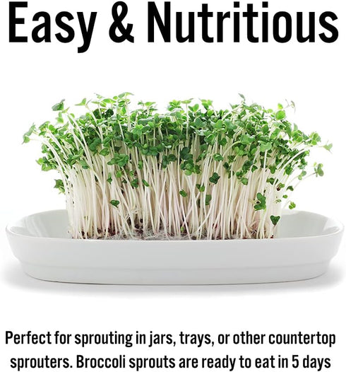 1 lb Broccoli Sprouting Seeds - Perfect for Sprouting & Microgreens, Rich in Sulforaphane, USA Grown (Resealable Bag)