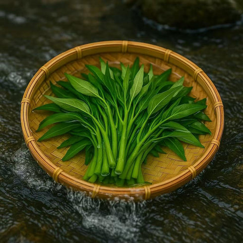 Loseedsoo 0.5 300+ Kong Xin CAI Seeds, Ounce Green Leaf Vegetable Seeds for Planting Non-GMO Choy Ong Seeds