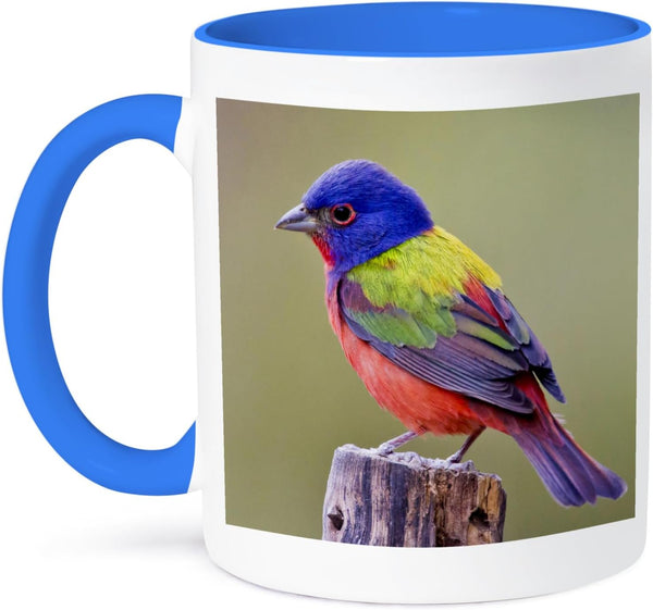 3dRose Painted Bunting Male Bird Perched Mug, 11 oz, Blue