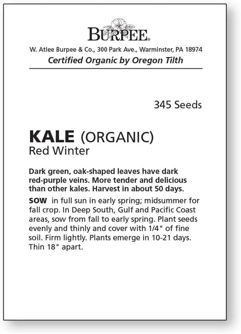 345 Burpee Red Winter Kale Seeds seeds