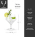 Viski Raye Angled Stemmed Gin and Tonic Glasses, Set of 2, Premium Crystal Clear Cocktail Gin Glasses for Gin Lovers