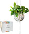Hanging Disco Ball Planter 8" - with Acrylic Stand and Macrame Plant