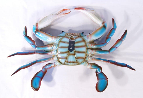Charlotte International 17-Inch Chesapeake Bay Blue Crab Wall Art - Large Decor